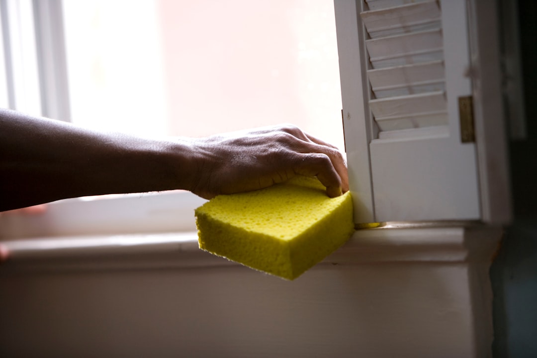When renovating a home, you should use a damp sponge, or cloth, to clean dust collected on a window sill, as the dust may contain asbestos, or lead-based paint. Home maintenance is an ongoing process for any homeowner, and here we see an African-American woman who’d preparing a window in her home for a general cleaning, and with her gloved hand, had begun to remove settled particulates using a damp sponge.